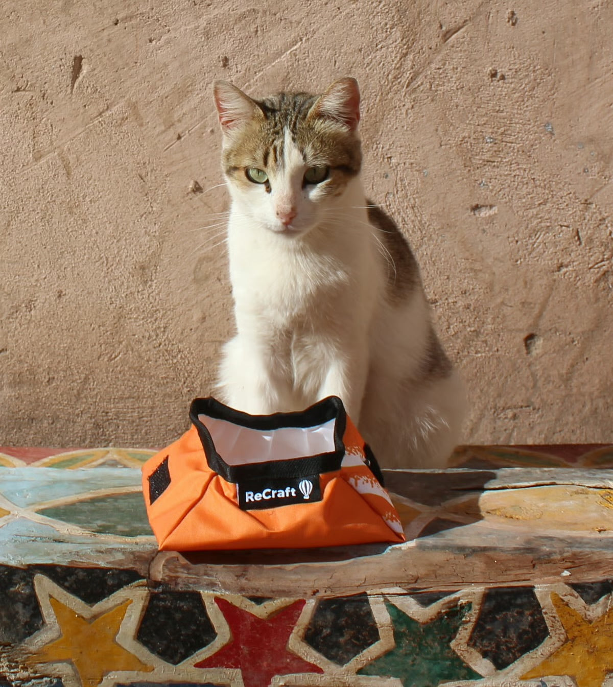 PARA NUESTRAS MASCOTAS